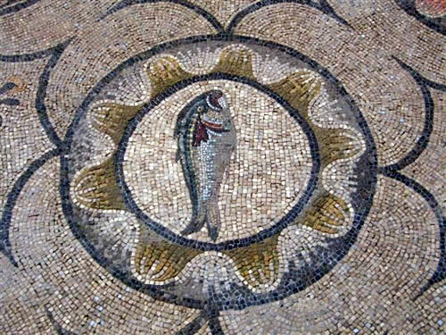 SCUOLA