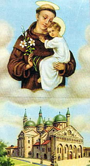 Francesco